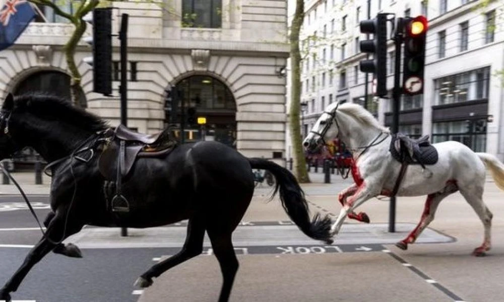 Πανικός στο Λονδίνο: Άλογα του Βασιλικού Ιππικού έτρεχαν στους δρόμους και συγκρούστηκαν με οχήματα- 4 τραυματίες (Βίντεο)